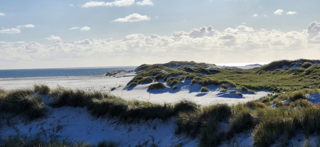 Vordere Dünenlandschaft